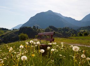 水性木器漆的優(yōu)勢與劣勢之比較
